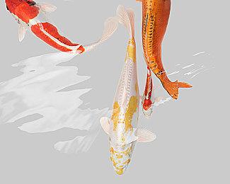 官宣延期后 《暗黑破坏神4》第二赛季现已上线